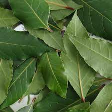 Laurel Leaf Essential Oil (Bay Leaf)