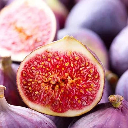 Fig Seed Oil