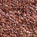 Flax seed Oil