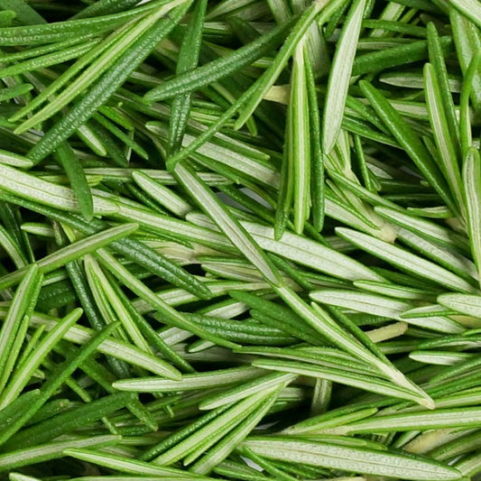 Rosemary Essential Oil - 1,8 Cineole