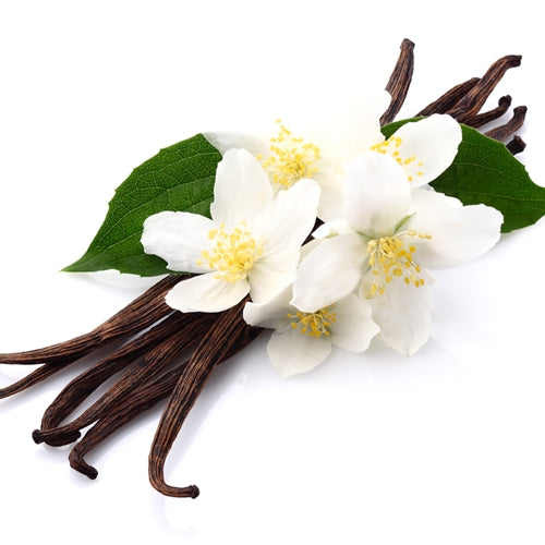 Vanilla Essential Oil (Extract)