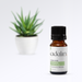 Rosemary Essential Oil - 1,8 Cineole