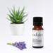 Lavender Essential Oil