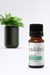 Peppermint Essential Oil